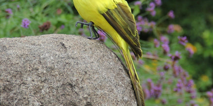 Fake Parrot, 10 x 0.4 Inch Realistic Artificial Birds Model, Fade Birds for Garden Patio Yard Lawns Tropical Tree Wall, Decorative Birds Yellow