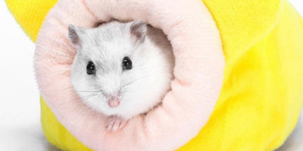 Small Pet Bed, Pig Christmas Bed Warm Hedgehog Hideout Cotton House Sleeping Nest Cage Accessories for Small Animal Habitat Supplies for Hamster Sugar Glider Squirrel Bearded Dragon, Pink Yellow