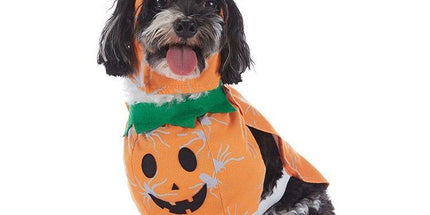 Holiday Decor Apparel for Cats & Dogs, Wearable Party Accessory For Halloween Christmas Festival Activities, Size L