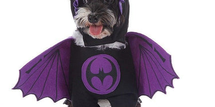 Festival Dress-up Supplies For Pets, Unique Decor Outfit for Halloween Christmas Holiday Events, Size S