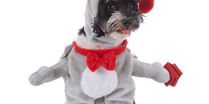 Pet Festival Worn Ornament, Holiday Decor Apparel For Halloween Christmas Holiday Celebrations, Size L