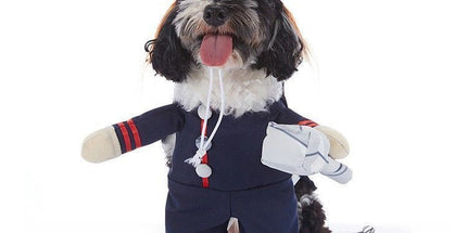 Outdoor Event Apparel For Cats and Dogs, Holiday Decor Wear For Halloween Christmas Festival Gatherings, Size XL