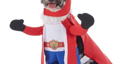 Indoor Celebration Accessory For Cats and Dogs, Holiday Dress-up Ornament for Halloween Christmas Events, Size XL