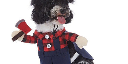 Indoor Party Supplies For Cats and Dogs, Holiday Dress-up Ornament for Halloween Christmas Festivities, Size S