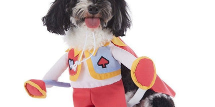 Celebration Party Decor Outfit For Cats & Dogs, Festival Holiday Dress-up Accessory for Halloween Christmas, Size L