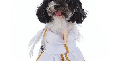 Family Holiday Gathering Outfit For Pets, Dress-up Decor For Halloween Christmas Festival Parties, Size M