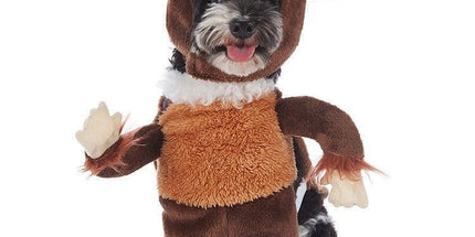 Festival Activity Dress-up Supplies For Pets, Holiday Worn Decor for Halloween Christmas Holiday Parties, Size L