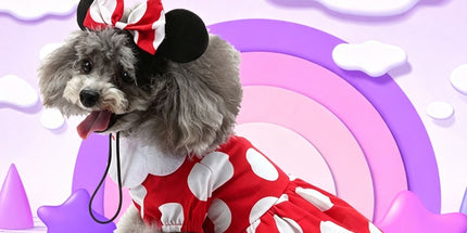 M Size Arctic Dream Pet Costume, Fancy Dress for Halloween & Christmas, Lightweight for 3.5-4.5 kg Dogs and Cats