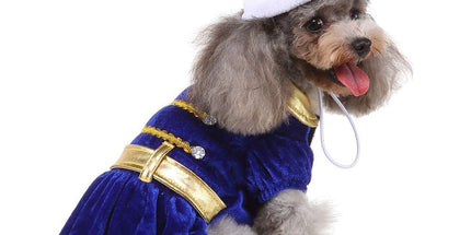 L Size Arctic Dream Pet Costume, Fancy Dress for Halloween & Christmas, Lightweight for 5-6.5 kg Dogs and Cats