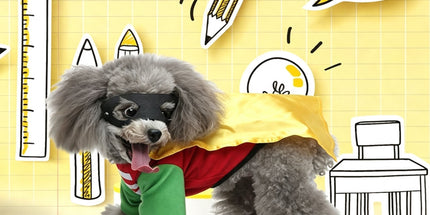 L Size Dark Tux Pet Costume, Fancy Dress for Halloween & Christmas, Lightweight for 5-6.5 kg Dogs and Cats
