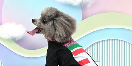 XL Size Valencia Sun Pet Costume, Fancy Dress for Halloween & Christmas, Lightweight for 7-10 kg Dogs and Cats