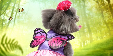 XL Size Xenon Navy Pet Costume, Fancy Dress for Halloween & Christmas, Lightweight for 7-10 kg Dogs and Cats