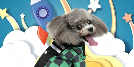 S Size Xenon Navy Pet Costume, Fancy Dress for Halloween & Christmas, Lightweight for 2-3 kg Dogs and Cats