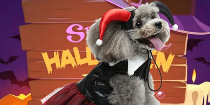 M Size Xenon Navy Pet Costume, Fancy Dress for Halloween & Christmas, Lightweight for 3.5-4.5 kg Dogs and Cats