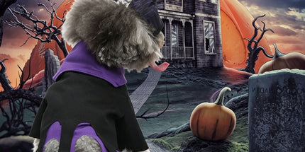 L Size Xenon Navy Pet Costume, Fancy Dress for Halloween & Christmas, Lightweight for 5-6.5 kg Dogs and Cats