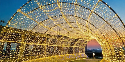 High‑Density Multicolor LED Fairy String Lights Plug‑in, Abundant Lamp Beads Bring Gorgeous Color Glow, Holiday Celebration Ambience Light, 100M 1000Leds Multicolor Tyack eCommerce Solutions