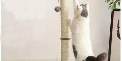 Cat Scratching Post Tree, MultiColor