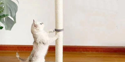 Cat Scratching Post Tree, MultiColor