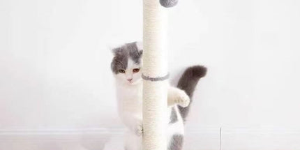 Cat Scratching Post Tree, MultiColor