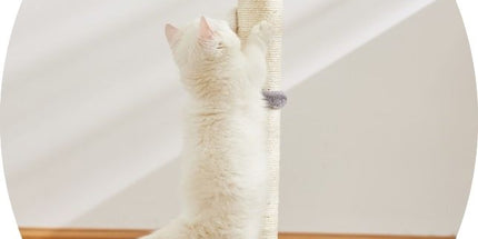 Cat Scratching Post Tree, MultiColor