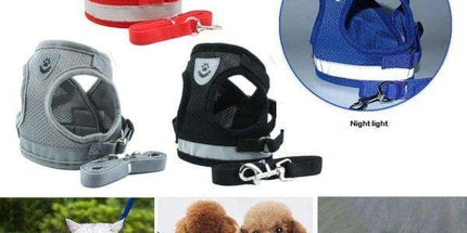 Dog Harness M Red, Adjustable Pet Harness for Cats and Dogs