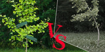 Tree Stakes and Supports, Heavy Duty Tree Stakes Kit Include 3Pcs Tree Straps for Staking, 3Pcs 12" Steel Spikes, and 39Ft Rope, Tree Supports for Young Tree Anti Strong Wind, Bad Weather