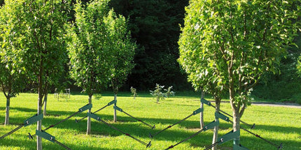Tree Stakes and Supports, Heavy Duty Tree Stakes Kit Include 3Pcs Tree Straps for Staking, 3Pcs 12" Steel Spikes, and 39Ft Rope, Tree Supports for Young Tree Anti Strong Wind, Bad Weather
