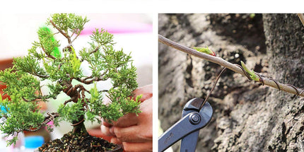 Plant Training Wire 98 Feet Copper Bonsai Tree Aluminium Plant Wire for Training Indoor and Outdoor (Copper, 2mm, 30m)