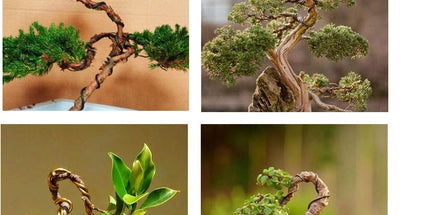 Plant Training Wire 98 Feet Copper Bonsai Tree Aluminium Plant Wire for Training Indoor and Outdoor (Copper, 2mm, 30m)