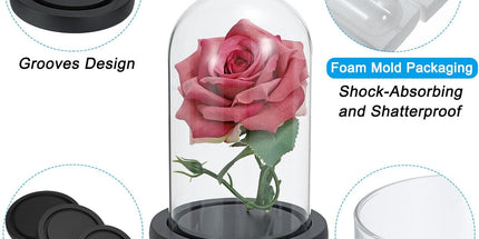 Glass Dome with Black Wooden Base - Clock Shaped Display Case - Home Decor - Desk Ornament - Christmas Decoration for Indoor Use