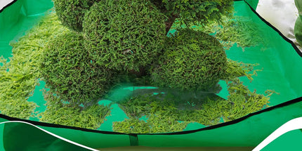 2 Set Landscape Pruning Tarp 78.7"x78.7" Waterproof Bush Trimming with Hole Shrub Catcher Four Corner Buckles for Leaf Collection Garden Tree Accessories