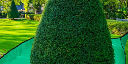 2 Set Landscape Pruning Tarp 78.7"x78.7" Waterproof Bush Trimming with Hole Shrub Catcher Four Corner Buckles for Leaf Collection Garden Tree Accessories