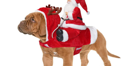 Santa Dog Costume Christmas Pet Clothes Santa Claus Riding Pet Costumes Party Dressing Up Dogs Cats Outfit For Small Medium Dogs Cats