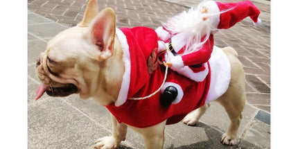 Santa Dog Costume Christmas Pet Clothes Santa Claus Riding Pet Costumes Party Dressing Up Dogs Cats Outfit For Small Medium Dogs Cats