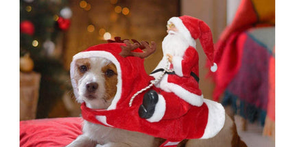 Santa Dog Costume Christmas Pet Clothes Santa Claus Riding Pet Costumes Party Dressing Up Dogs Cats Outfit For Small Medium Dogs Cats