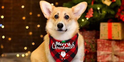 Christmas Pet Triangle Scarf Dog Bandana Pet Wearable Accessories Red Grid - Christmas Hat