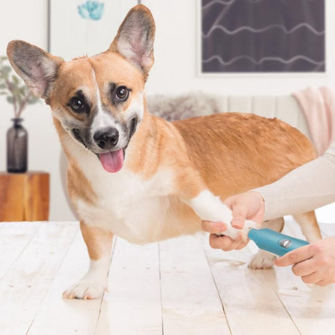 Electric Dog Nail Clippers for Dog Nail Grinders Rechargeable USB Charging Pet Quiet Cat Paws Nail