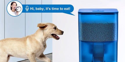 Smart Pet Feeder with WiFi and Button Control, 4L Automatic Cat and Dog Food Dispenser with Removable Stainless Steel Bowl, Ideal for Busy Owners, Travel, and Home Use (Blue, WIFI Version) Tyack eCommerce Solutions