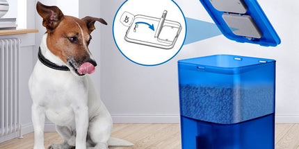 Smart Pet Feeder with WiFi and Button Control, 4L Automatic Cat and Dog Food Dispenser with Removable Stainless Steel Bowl, Ideal for Busy Owners, Travel, and Home Use (Blue, WIFI Version) Tyack eCommerce Solutions