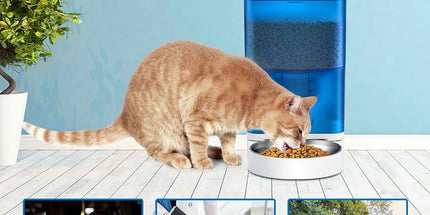 Smart Pet Feeder with WiFi and Button Control, 4L Automatic Cat and Dog Food Dispenser with Removable Stainless Steel Bowl, Ideal for Busy Owners, Travel, and Home Use (Cyan, WIFI Version) Tyack eCommerce Solutions