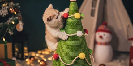 Christmas Tree Cat Scratching Post with Natural Sisal Rope, Durable Large Cat Scratcher with Plush Faux-Grass Base, Pom-Pom Decor, Festive Indoor Play Center for Kittens and Adult Cats to Sharpen Claws, Stretch, and Protect Furniture (24.4*13.8in)