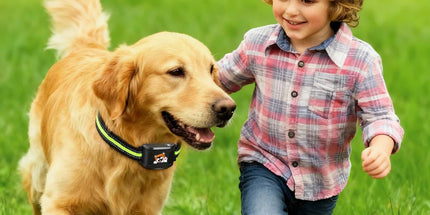 Wireless Dog Fence & Training System with 2.4GHz Remote Control, Adjustable Static Stimulation, Vibration and Beep Modes for 3 Pets, Waterproof Collar Receiver for Outdoor Yard Containment and Obedience Training (Black) Tyack eCommerce Solutions