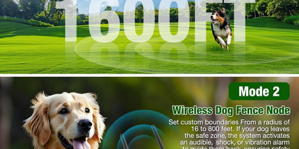 Wireless Dog Fence & Training System with 2.4GHz Remote Control, Adjustable Static Stimulation, Vibration and Beep Modes for 3 Pets, Waterproof Collar Receiver for Outdoor Yard Containment and Obedience Training (Black) Tyack eCommerce Solutions