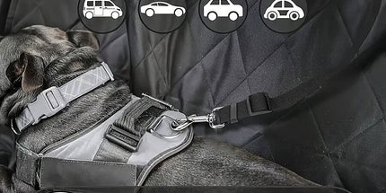 Dog Seat Belt for Car, Pet Car Safety Restraint with Adjustable Straps and Zinc Alloy Hook, Perfect for Securing Your Dog in Vehicle, Ideal Car Safety Strap for Small to Large Dogs, Great Christmas Gift for Pet Lovers (Purple)