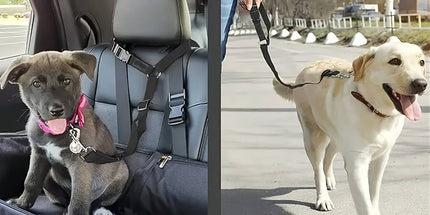 Dog Seat Belt for Car, Pet Car Safety Restraint with Adjustable Straps and Zinc Alloy Hook, Perfect for Securing Your Dog in Vehicle, Ideal Car Safety Strap for Small to Large Dogs, Great Christmas Gift for Pet Lovers (Red)