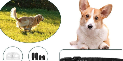 GPS Smart Pet Fence Training Collar with Wireless Boundary Control, Bluetooth App Customization, and Rechargeable Battery for Outdoor Dog Training and Safety (Black) Tyack eCommerce Solutions