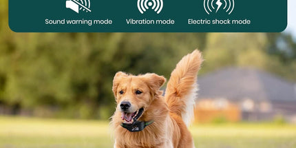 GPS Smart Pet Fence Training Collar with Wireless Boundary Control, Bluetooth App Customization, and Rechargeable Battery for Outdoor Dog Training and Safety (Black) Tyack eCommerce Solutions