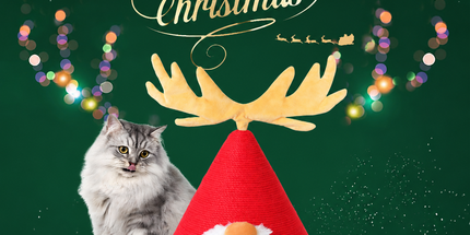 Delight Your Feline Friend with a Christmas Tree Cat Scratching Post – A Festive Conical Sisal Playground Complete with Plush Antlers, Whiskers, and a Sturdy Round Base, Perfect for Holiday Scratching, Climbing, and Home Decoration. (Red)