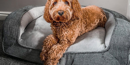 Plush Orthopedic Pet Sofa Bed with Bolstered Edges – Ultra-Soft Sponge Filled Luxury Dog and Cat Couch, Waterproof Inner Liner & Removable Washable Cover for Medium-Sized Pets Up to 35kg (Grey)