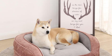 Plush Orthopedic Pet Sofa Bed with Bolstered Edges – Ultra-Soft Sponge Filled Luxury Dog and Cat Couch, Waterproof Inner Liner & Removable Washable Cover for Medium-Sized Pets Up to 35kg (Grey)